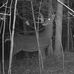 Stuart Ryan - Facebook