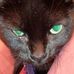 Stuart Schnell - Facebook