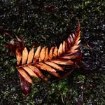 Stuart Scott Photographer - @stuart_scott_photographer - Instagram