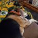 Stuart Sherman - Facebook