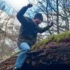Stuart Simpson Foraging - @stuartsimpsonforaging - TikTok