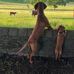 Stuart Slater - Facebook