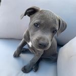 Stuart Smart - @stuart_smart - Instagram