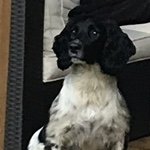 Stuart Spence - @stuart.spence.75 - Instagram