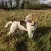 stuartstevenson202 - @stuartstevenson20 - TikTok