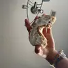 hi - @stuart.still.hates.you - TikTok