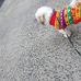 Stuart Teitelbaum - Facebook