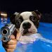 Stuart Urquhart - Facebook