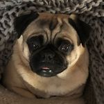 Stuart Urquhart - @stuartandrewurquhart1965 - Instagram