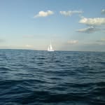 Stuart Wagner - @stuart.wagner.984 - Instagram