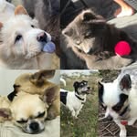 Stuart D Weaver - @westfordvillage_packlife - Instagram
