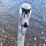 Stuart Weaver - @weaver_stuart - Instagram