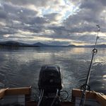 Stu Webb - @stuart.webb - Instagram