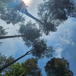 Stuart Webb - @stealthcamper99 - Instagram