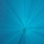 Stuart Webster - Facebook