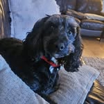 Stuart Webster - @websterontheradio - Instagram