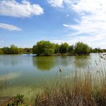 Stuart Webster - @essex_carper_stu - Instagram