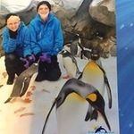 Stuart Whitaker - @whitakerstuart - Instagram