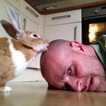 Stuart Whitaker - @strtwhtkr - Instagram