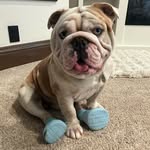 Stuart Winston - @stuart.winston7 - Instagram