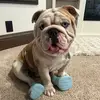Stuart Winston - @stuart.winston7 - TikTok