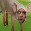 Stuart Winstone - @stuartwinstone - TikTok