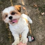 Winston - @itswinstonstuart - Instagram