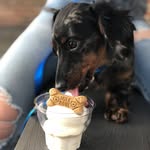 Winston - @winston__stuart - Instagram