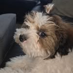 @winston_stuart_the3rd - Instagram