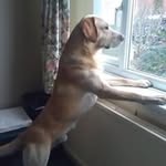 Stuart Yates - @stuart.yates.7311 - Instagram