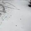 Suyang - @suyanglee - TikTok