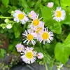 Suad Hassan Mursal - @suad.hassan.mursa - TikTok