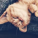 Suad Mohammed - @suad2760 - Instagram