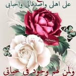 Suad Mohammed - @suad3917 - Instagram