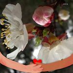 Suad Omar - @suad.omar.7311 - Instagram