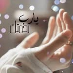 Suad Omar - @suad7361 - Instagram