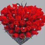 Suad Omar - @suad.omar.9461 - Instagram