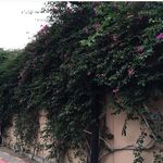 Suad Omar - @suad.wz - Instagram