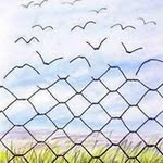 Suat Saraçoğlu - @suatsaracoglu - Instagram