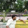Subal Saha - @subalsaha71 - TikTok