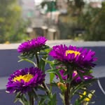 Subhadip Mukherjee - @mr.subhadip_mukherjee - Instagram