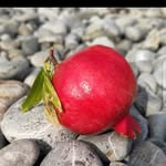 Subhan Ali - @subhan_ali_5201 - Instagram