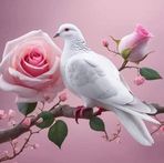 Sobhi Madi - Facebook