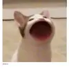 수빈 - @subinim5 - TikTok