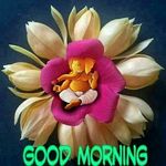 subir bose - @subir.bose14 - Instagram