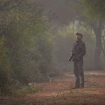 Subir Ghosh - @subirghosh_wildlife - Instagram
