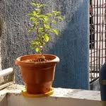 Suchandra Roy Choudhary - @suchandraroychoudhary - Instagram