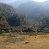 Sudarshan Chand - @sudarshanchand373 - TikTok