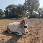 sudarshan chandravanshi - @sudarshanchandravanshi2 - Instagram