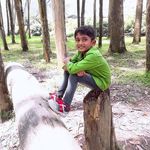 Sudha Manoj - @sudhamanoj54 - Instagram